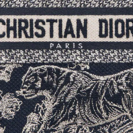 MINI DIOR BOOK TOTE PHONE BAG Blue Toile de  (13 x 18 x 5 cm).