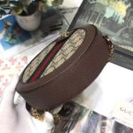 mini  round shoulder bag 550618 Dark Coffee.