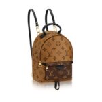 Palm Springs Backpack Mini M42411. - Image 2