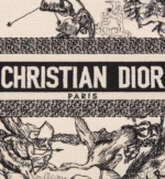 SMALL DIOR BOOK TOTE.