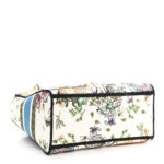 CHRISTIAN DIOR Canvas D-Constellation Lady D-Lite Latte.