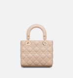 SMALL LADY DIOR MY BAG Aesthetic Beige.