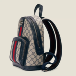 small backpack. - Image 2